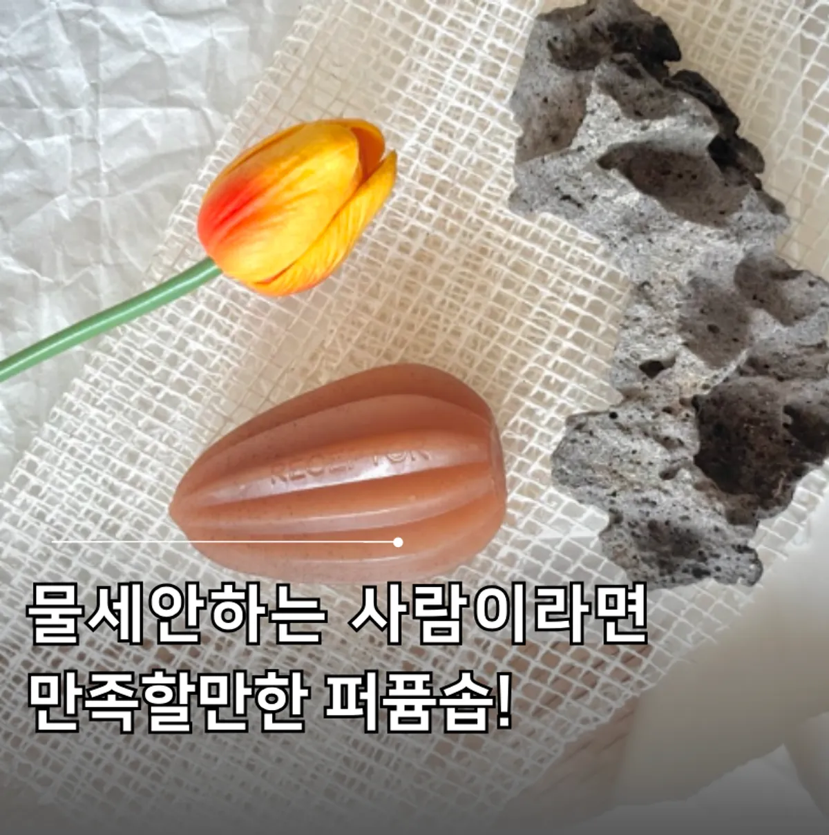 Receptor Perfumed Seed Soap Siena product image