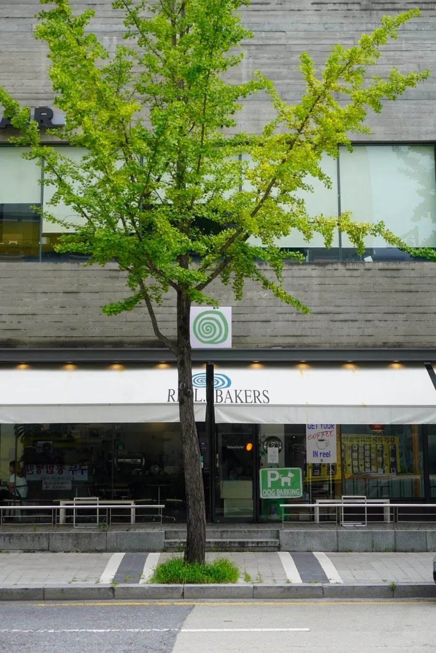 Reelbakers exterior lined with street trees along the main road