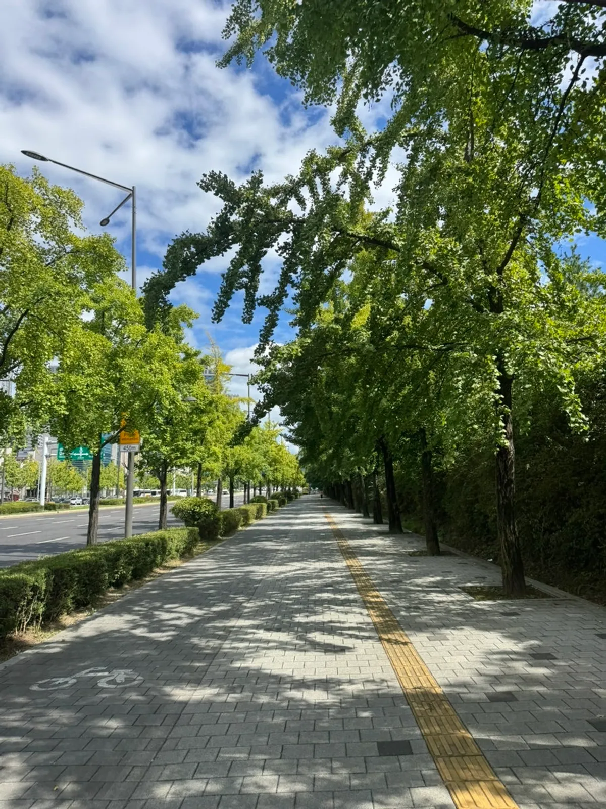 Entrance of the Seongnae-dong tonkatsu restaurant Riae Premium