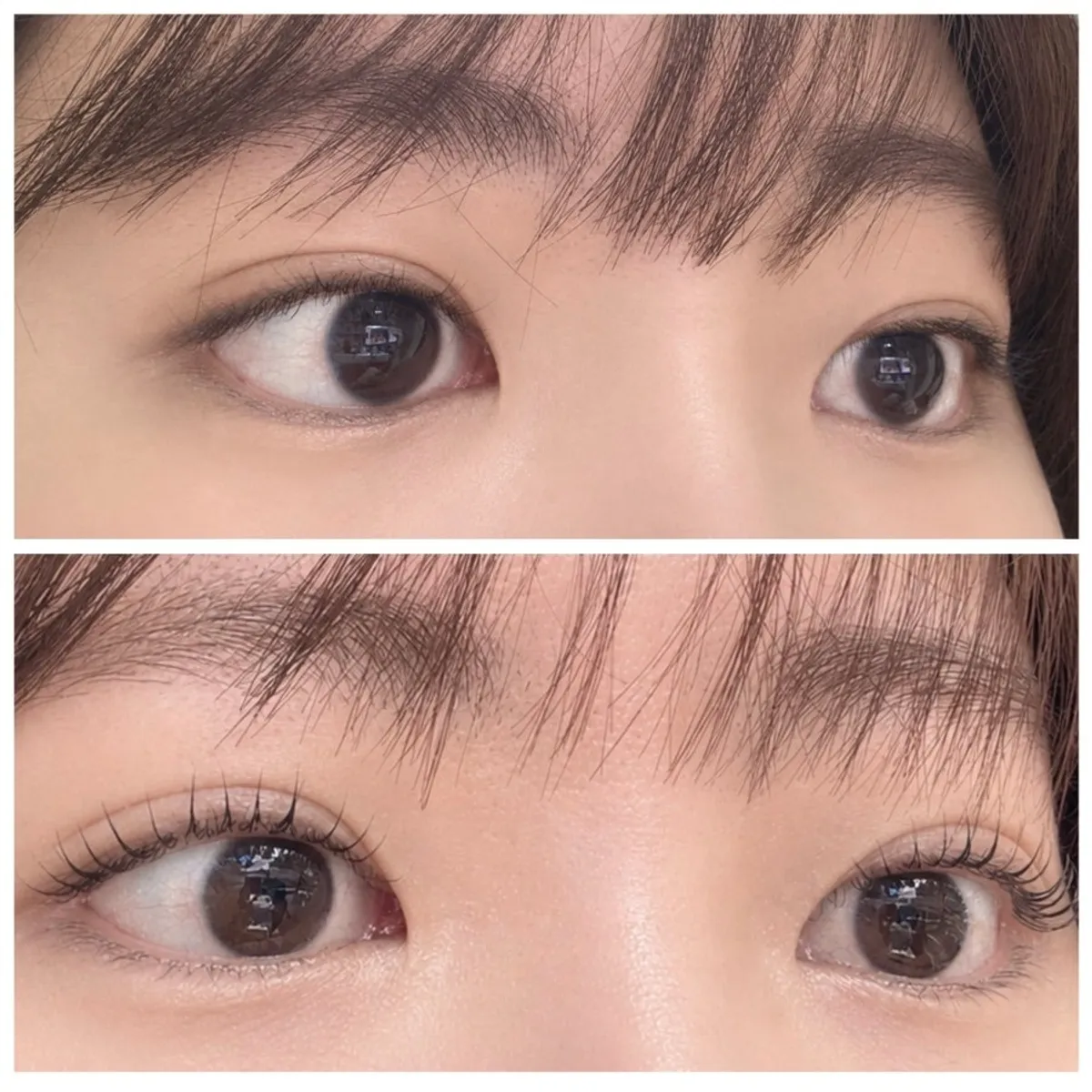 Before-and-after comparison of lashes with the keratin ampoule perm