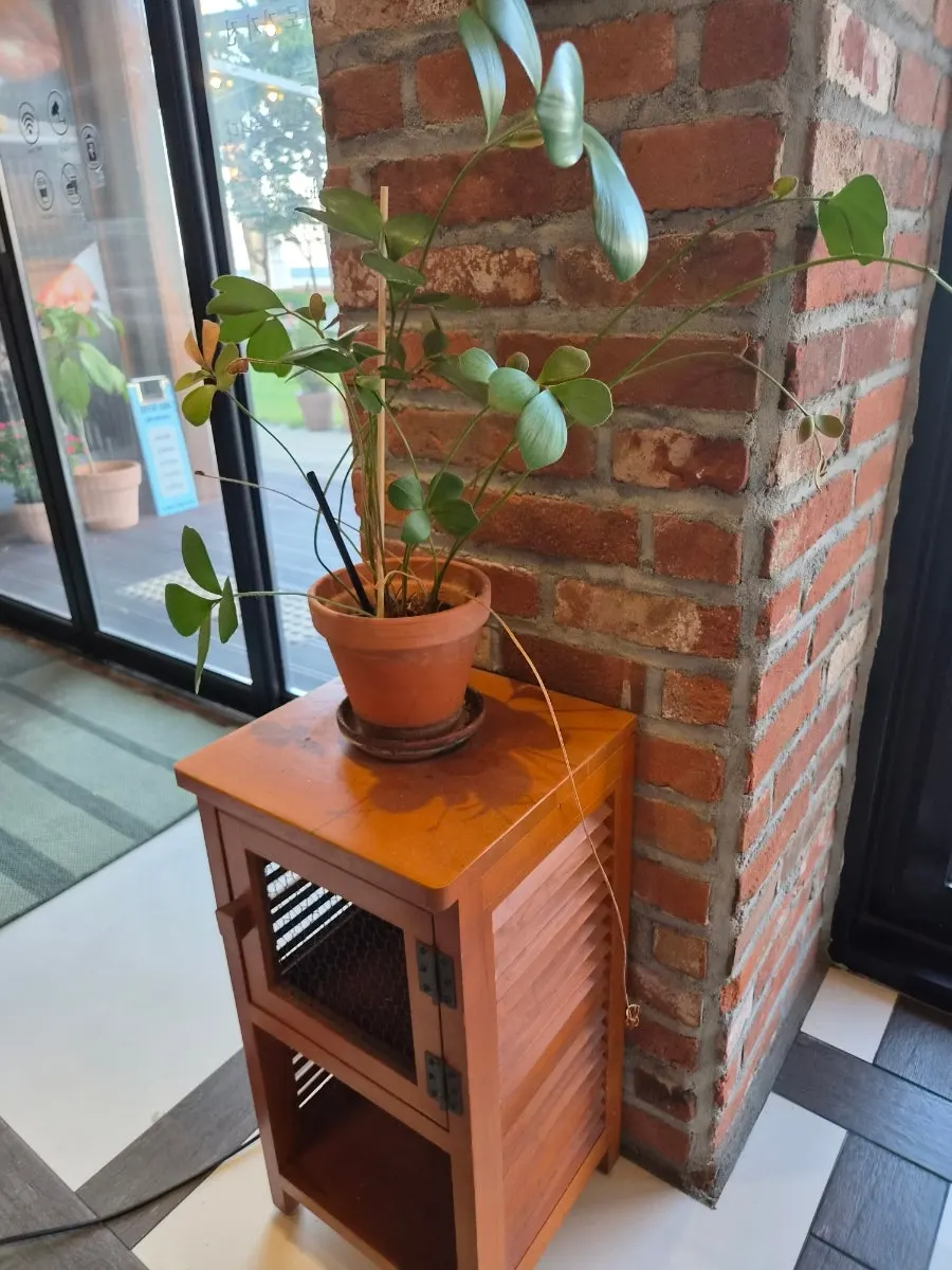Cozy indoor table seating