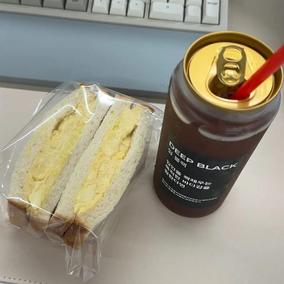 포장해 온 샌드위치 두 개