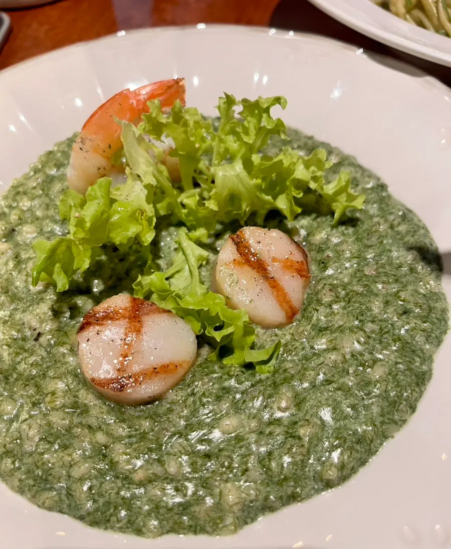 테이블에 차려진 파스타와 리조또