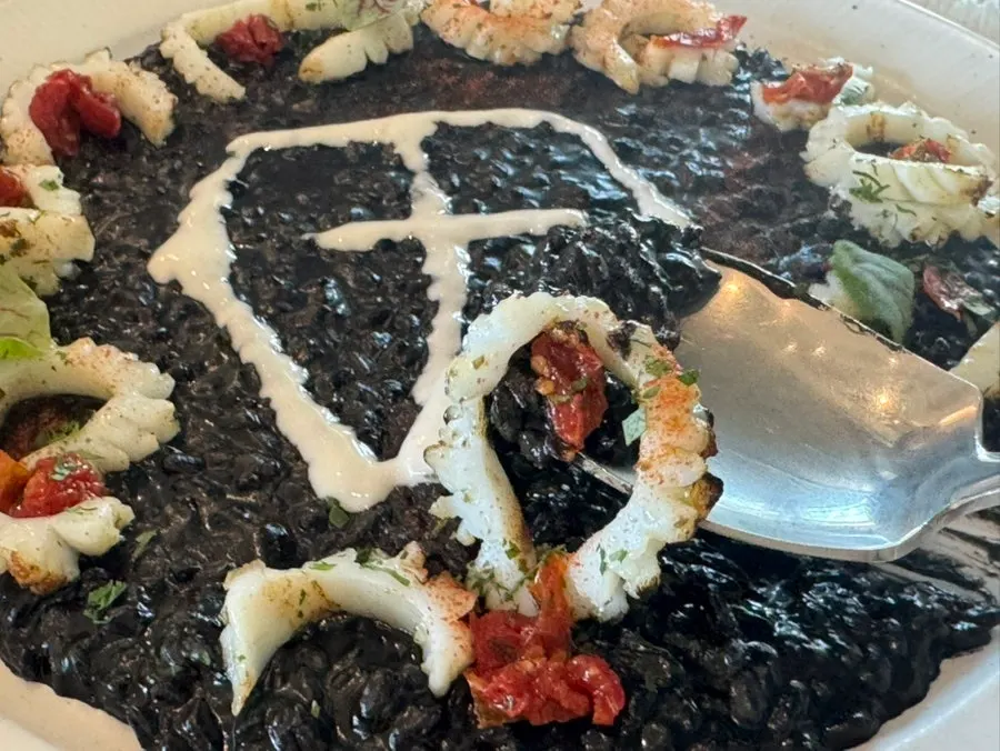 Jet-black eclipse squid ink risotto