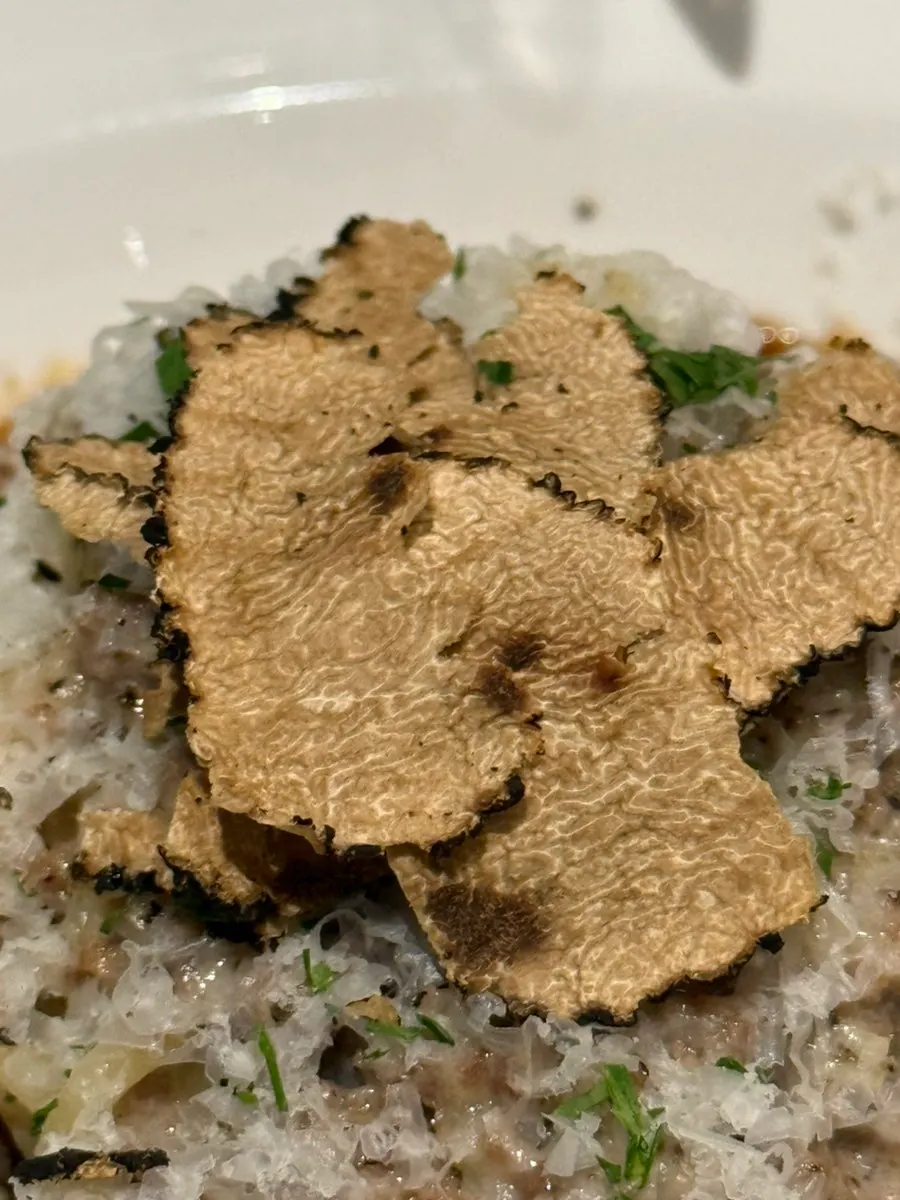 Fresh truffle Hanwoo ragu pasta twirled on a fork