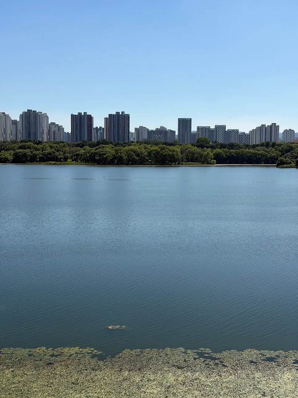 View from the Han River seat at the end of the meal