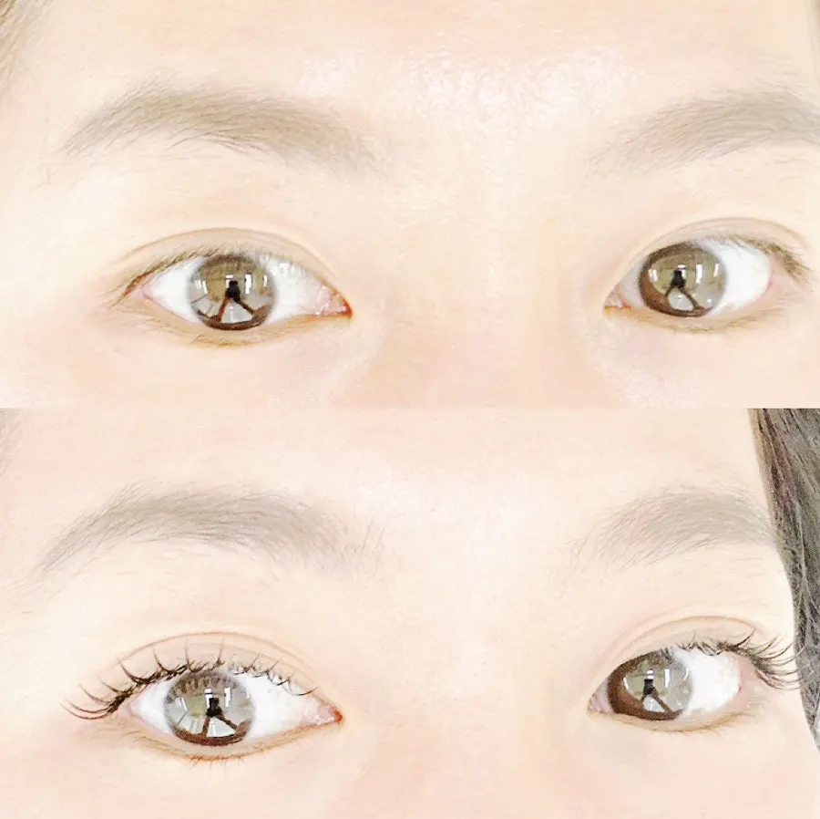 Rose Lash mascara extensions introduction in Jamsil