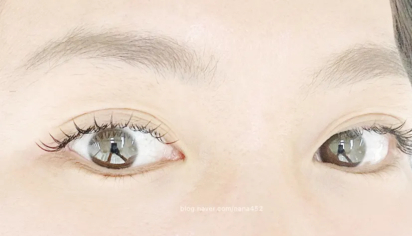 Rose Lash mascara-style eyelash extensions