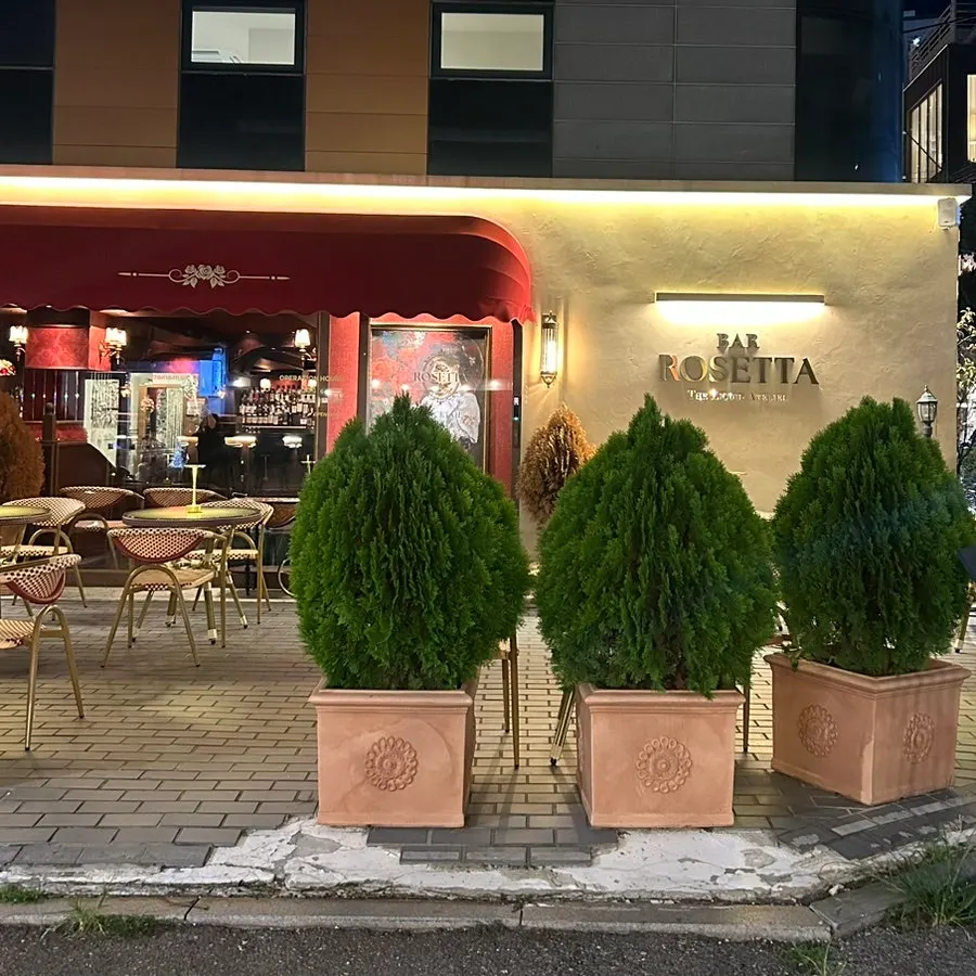 저녁 조명이 켜진 로제타 외관