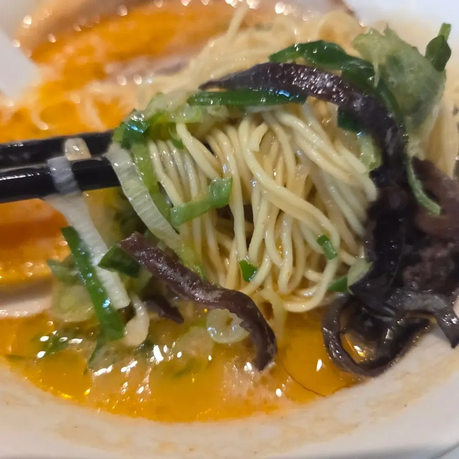 류센소 카라 라멘의 파 고명