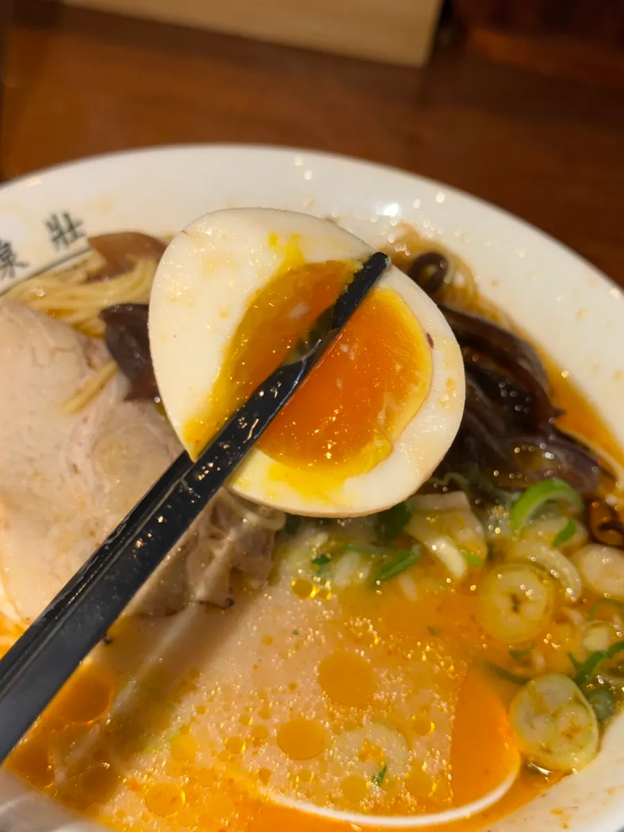 Fideos de ramen sacados del caldo