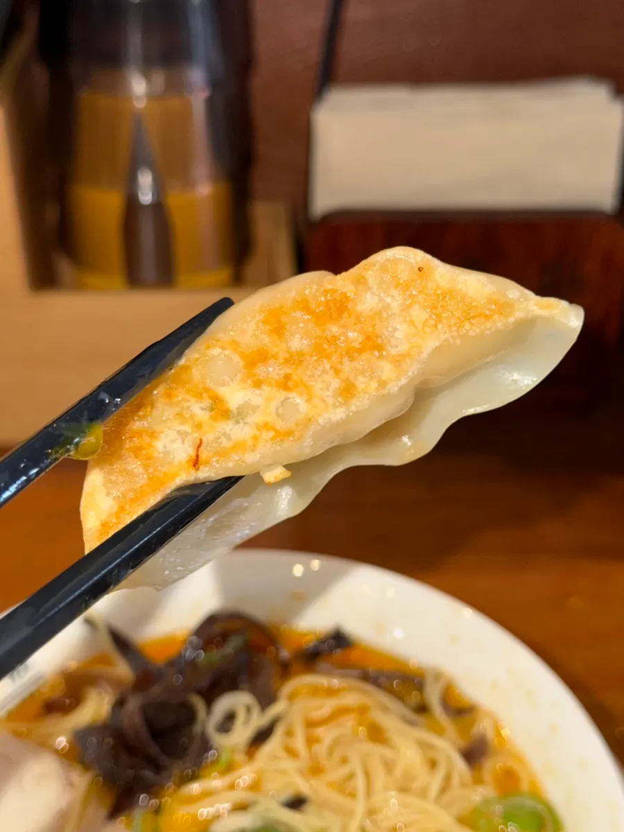 Primer plano de gyoza crocantes