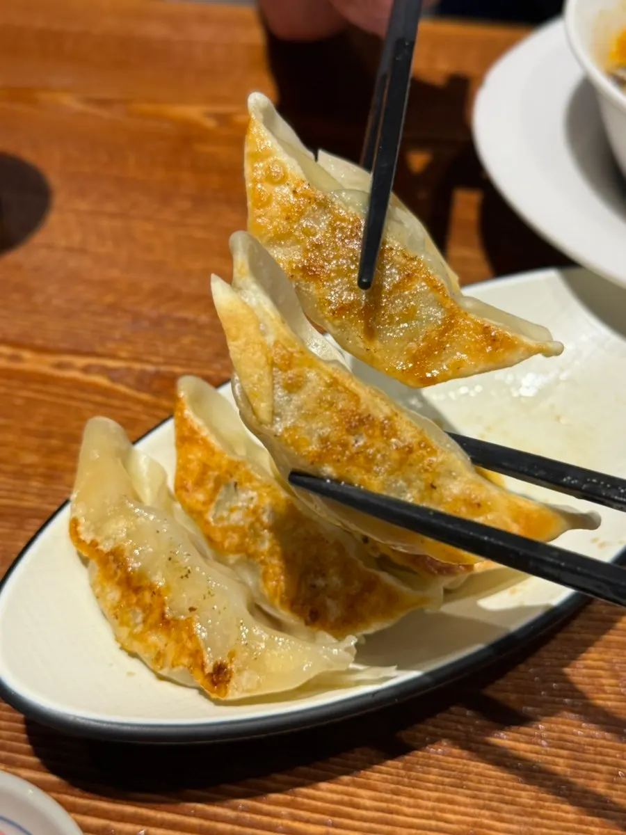 A plate of yaki gyoza at Ryusenso Beomeo Branch