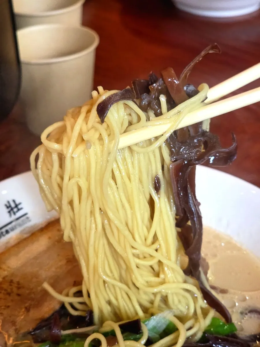 Noodles lifted up from a bowl of tonkotsu ramen