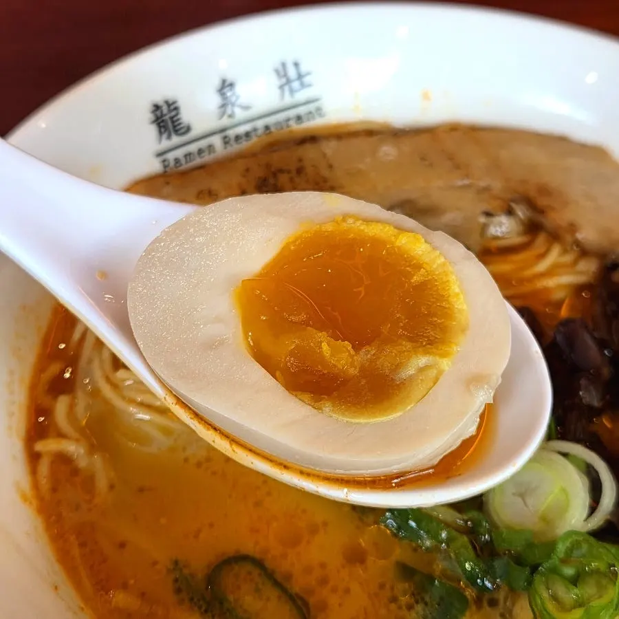 Ryusenso Kara ordered at spice level 1 with toppings