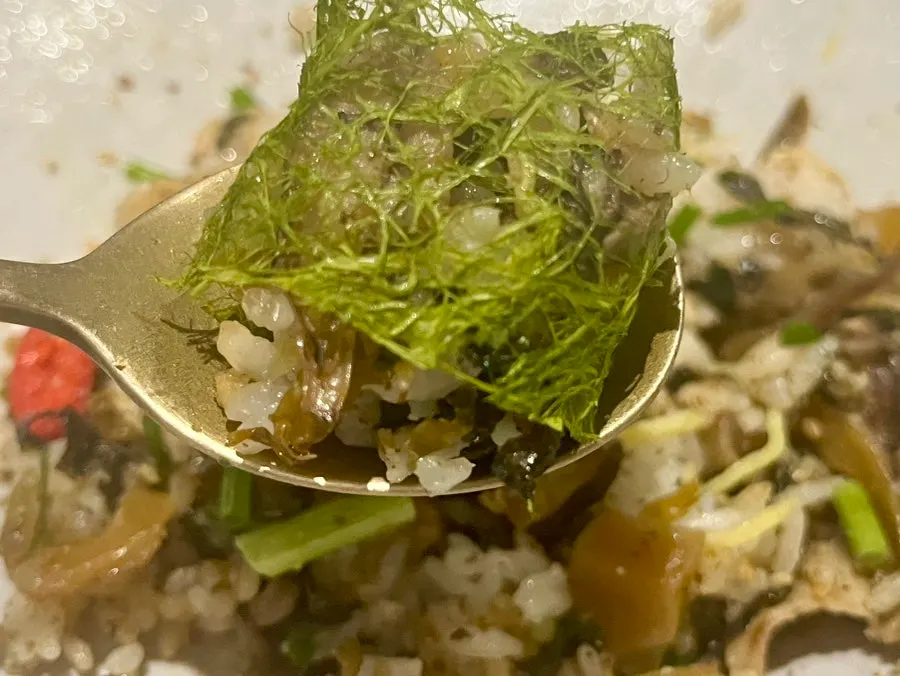 A bite of perilla oil rice wrapped in gamtae seaweed
