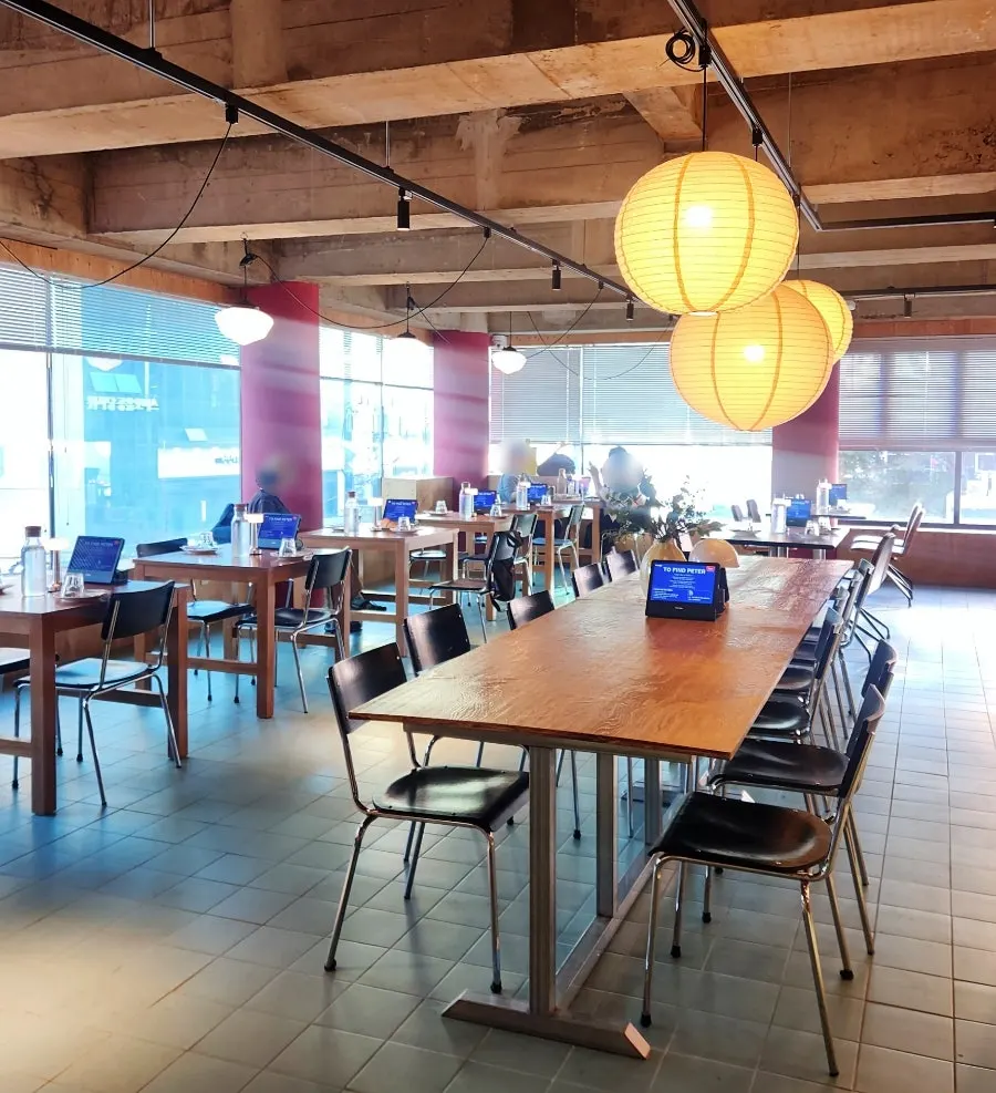 Sunlit interior by the windows