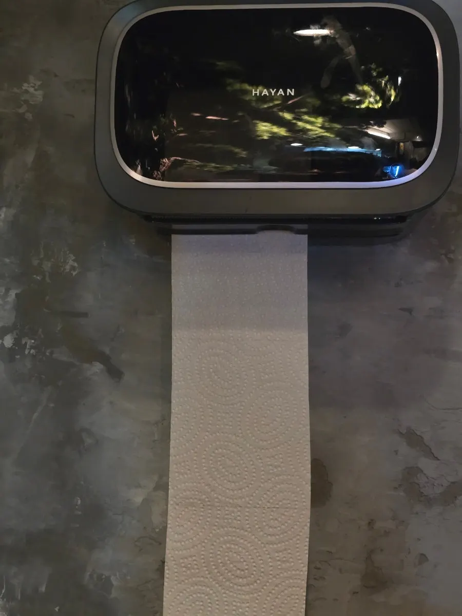 Tissue holder hanging on the wall