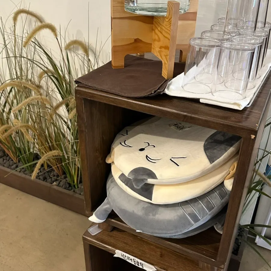Seating area with a dedicated pet cushion