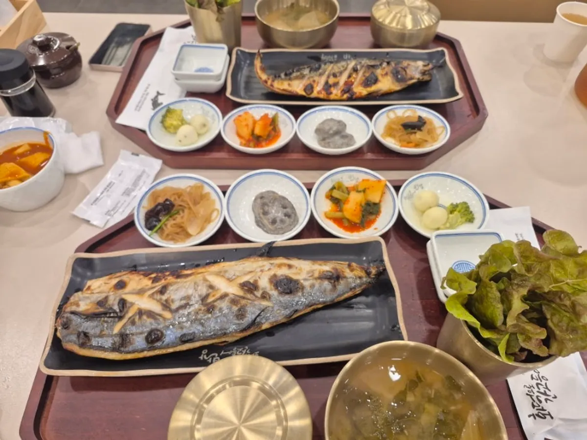 Full table spread of both the mackerel set and Spanish mackerel set