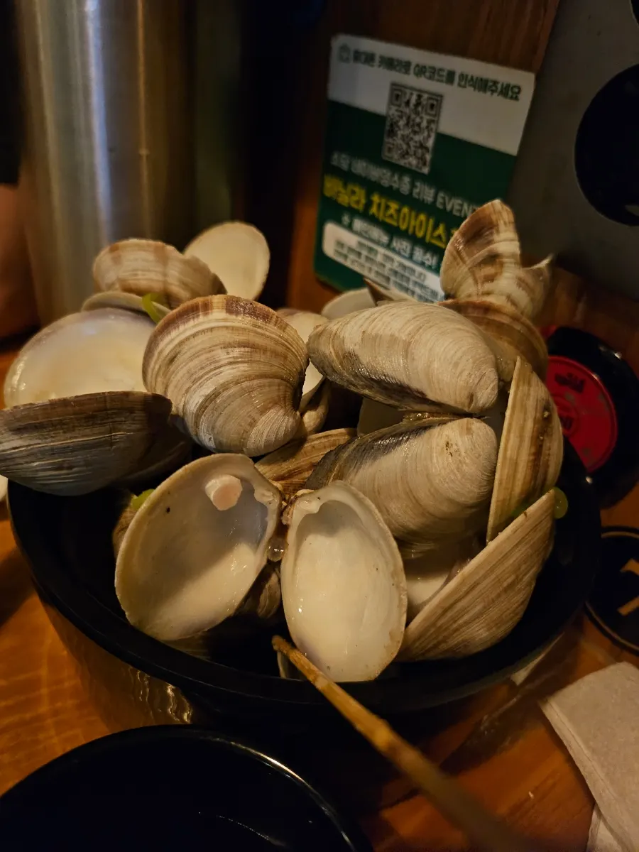 Empty clam shells after the meal