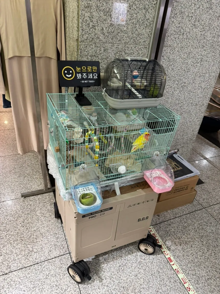 저녁 시간 화덕으로간고등어반상 여의도점 매장 내부