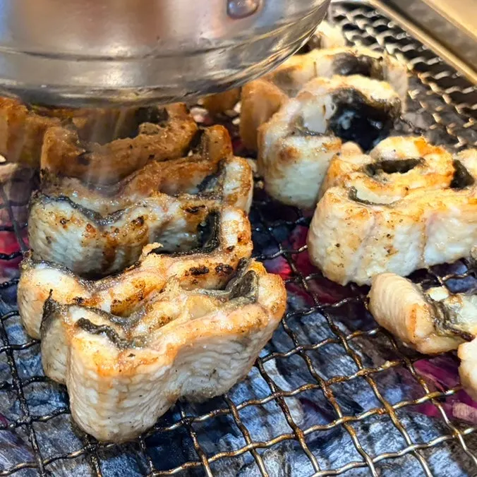 Close-up of golden-brown grilled eel