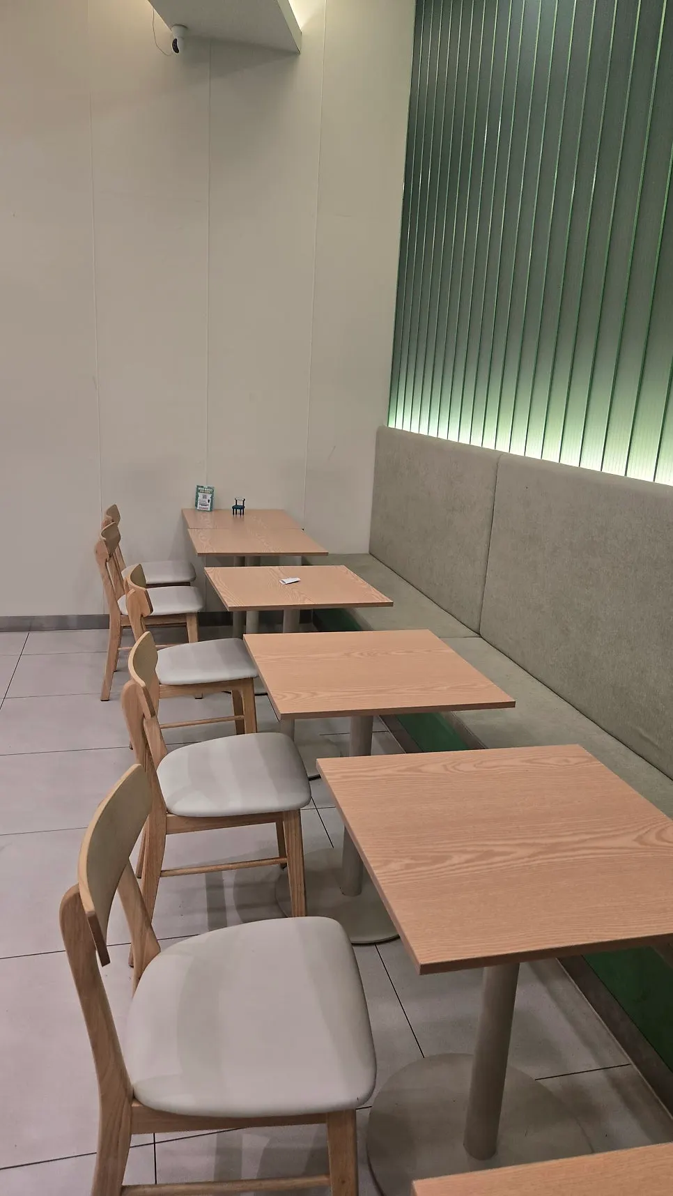 Interior with lush green plant decor