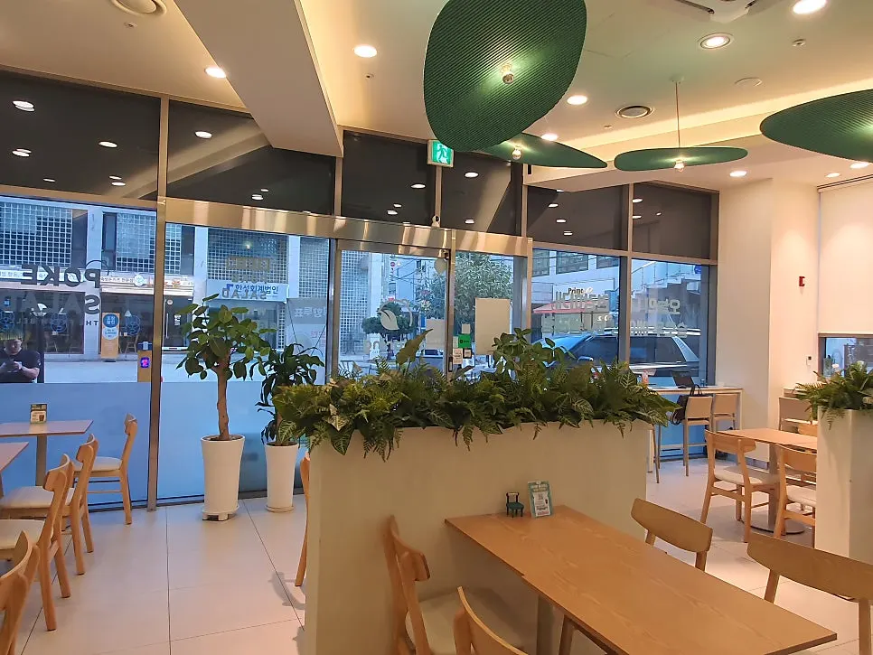 초록빛 인테리어의 샐러링 교대직영점 매장 내부