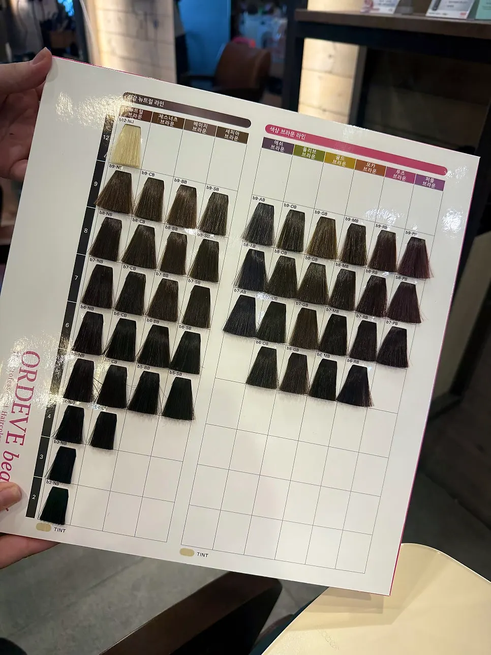 Gray-coverage dye color chart