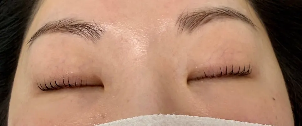 Close-up of lashes made more distinct with black tinting