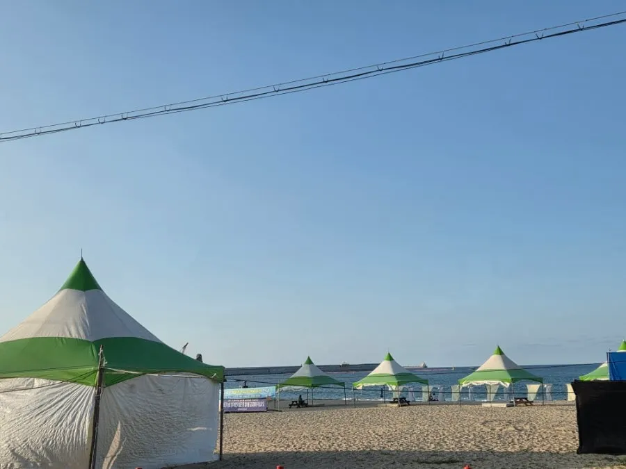 삼척보물섬 건물 입구 주변 전경
