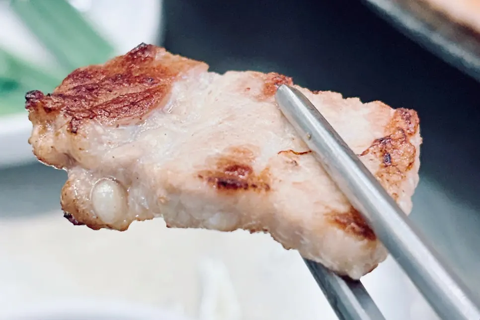 家族で一緒に食べたサムミジプの半皿の肉
