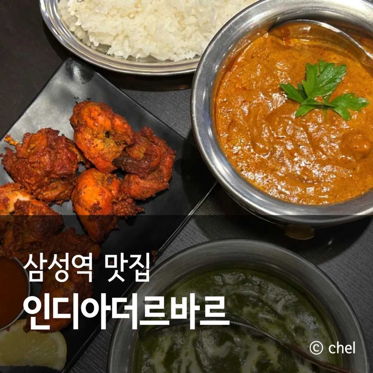 삼성역 인디아더르바르 인도음식