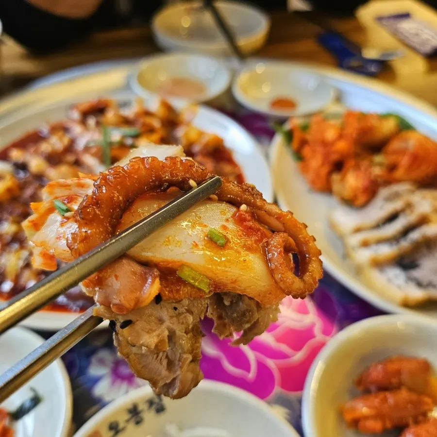 젓가락으로 집어 올린 낙지볶음