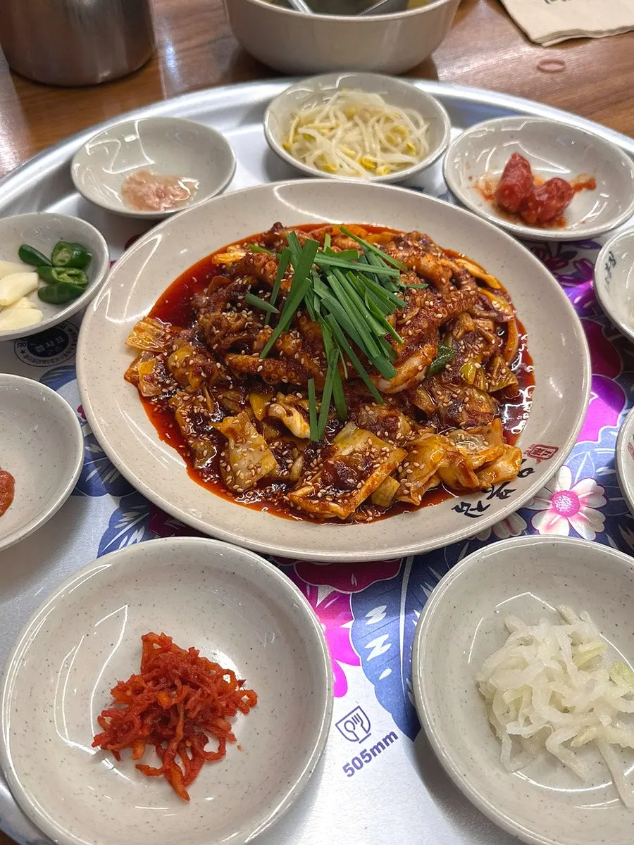 Spicy-tangy seasoned makguksu