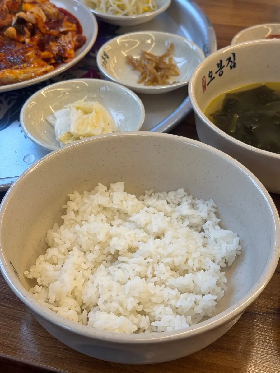 양념이 배어든 낙지볶음 클로즈업