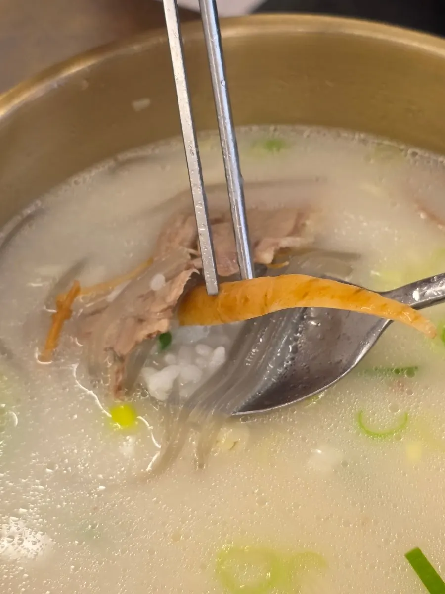 설렁탕 속에서 건져 올린 인삼