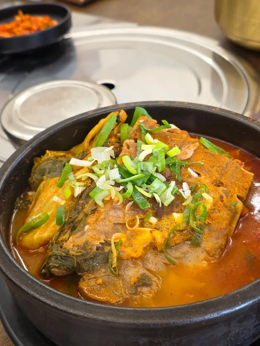손바닥보다 큰 뚝배기 크기 비교