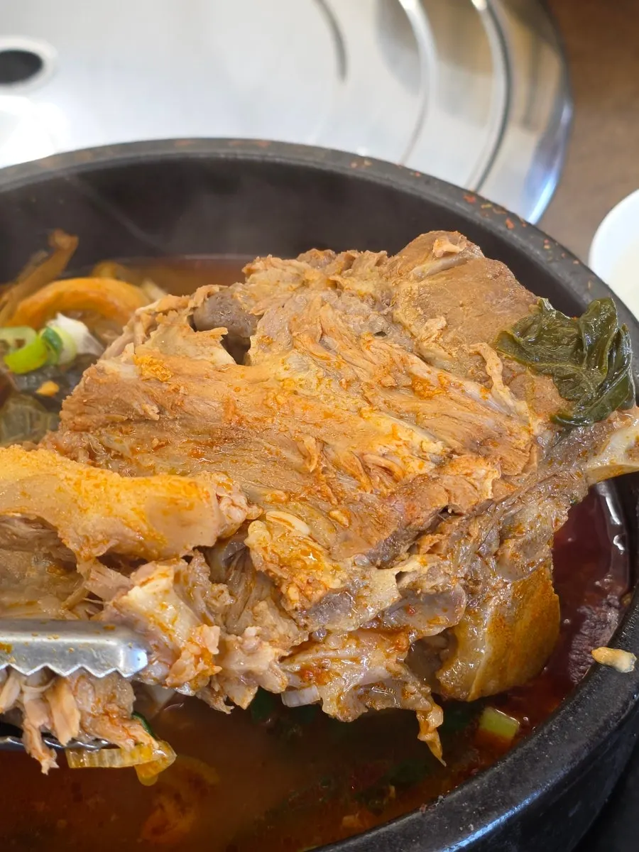 큰 뼈와 작은 뼈, 우거지가 담긴 해장국