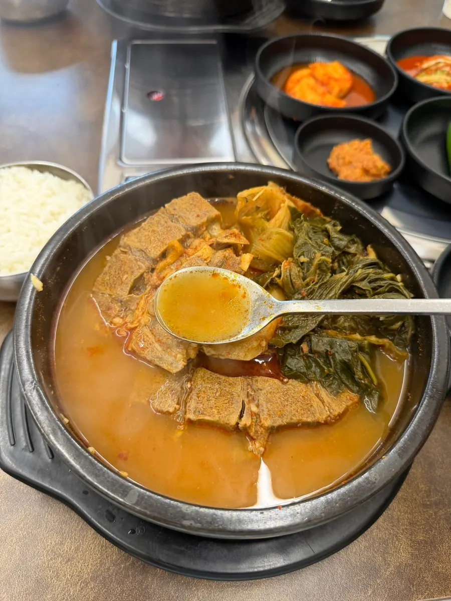 뼈해장국 국물 클로즈업