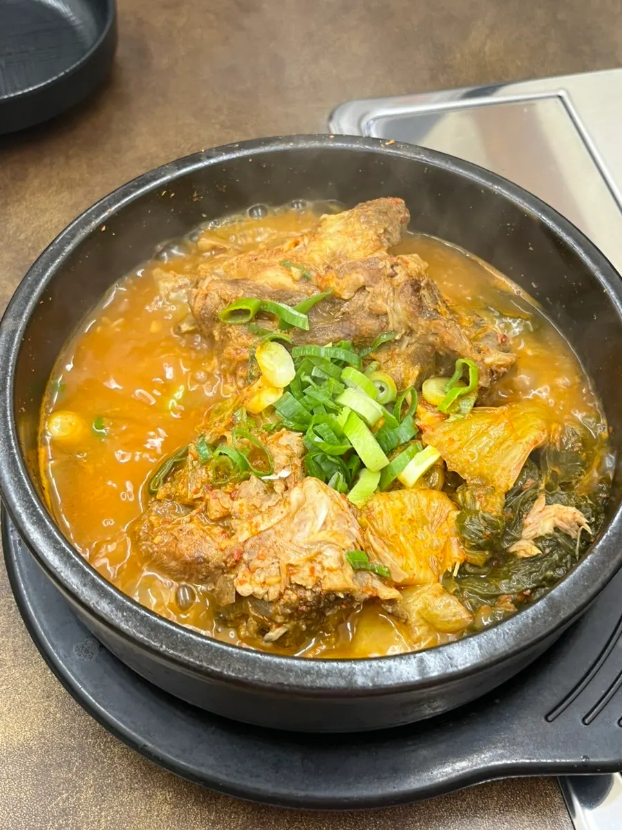 Spoonful of rich bone soup broth