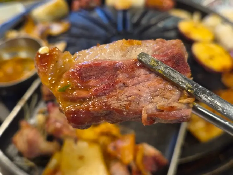 Grilled pork dipped in meat-sauce