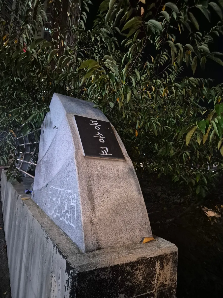 동송교 산책로의 야경