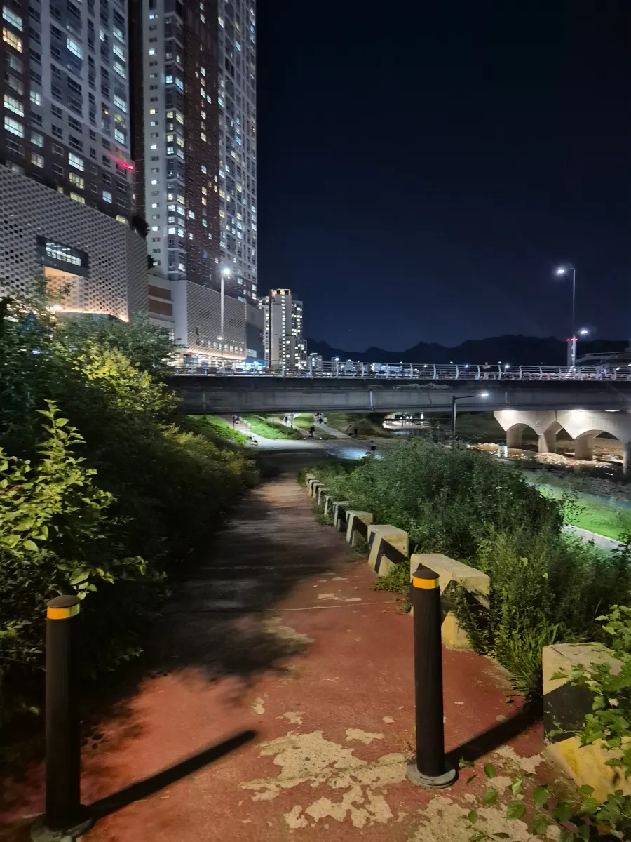 밤 산책하기 좋은 동송교 주변