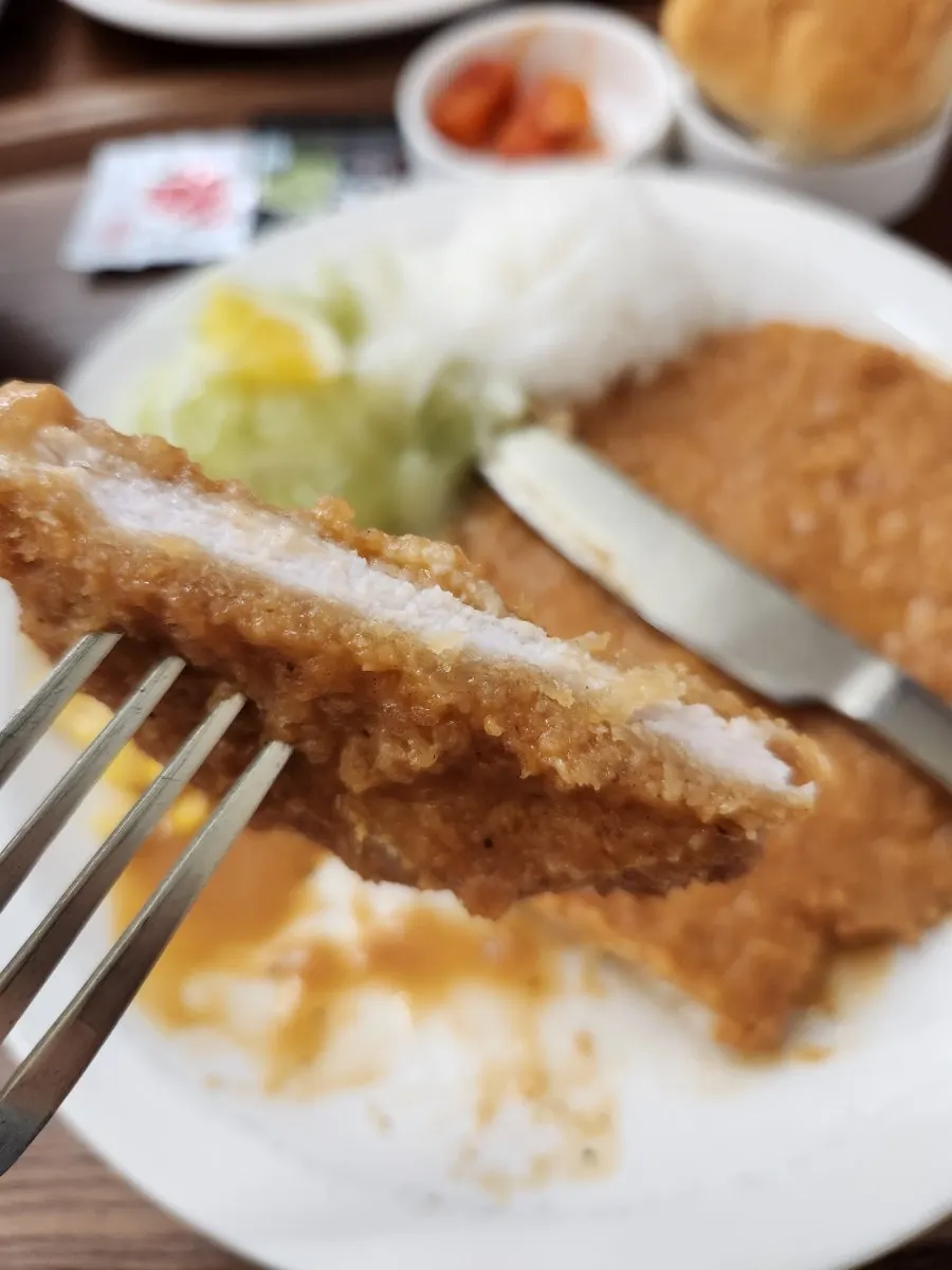 소스가 올라간 경양식 돈가스와 밥, 샐러드