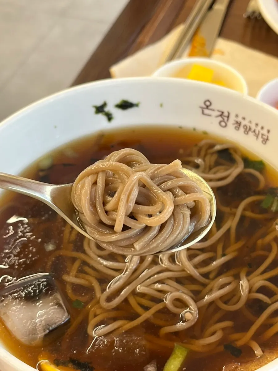 Udon noodles in rich broth