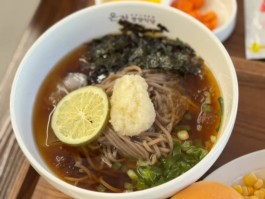 青みかんが入った冷そば一杯