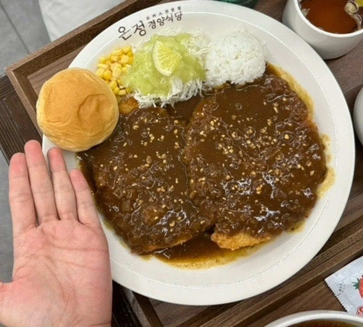 손바닥만 한 왕돈까스 두 장이 올려진 접시