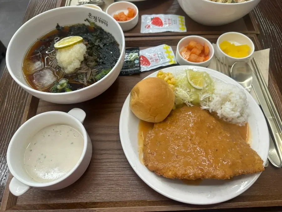 Udon and pork cutlet set